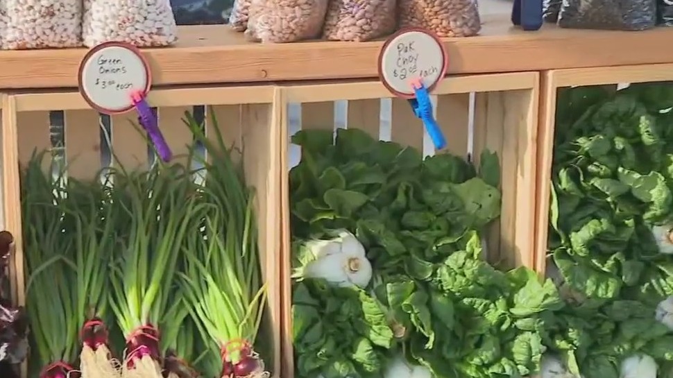 Eggs and cheese to pickled and dried vegetables