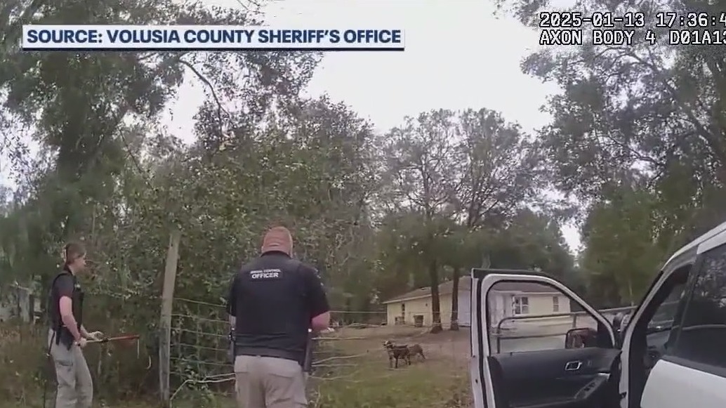 Owner of dog that killed Florida child facing misdemeanor charge