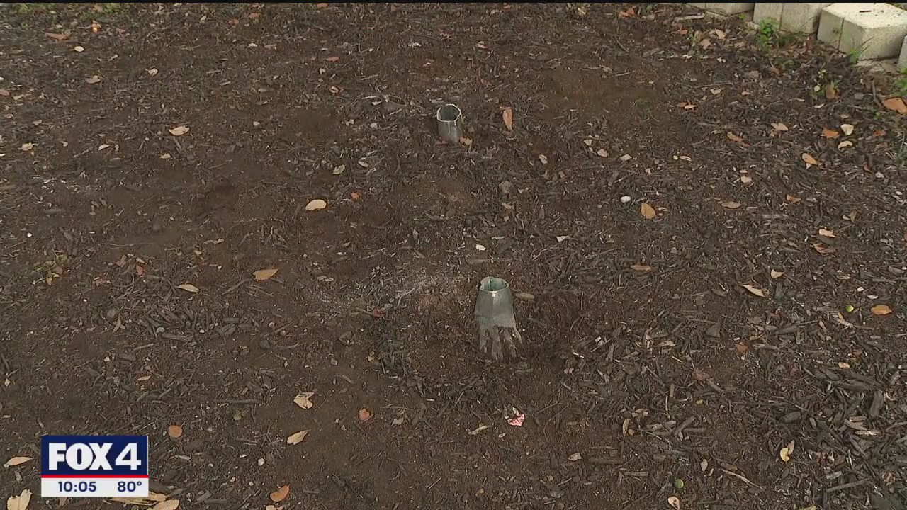 Bronze tiger statue stolen from St. Pius X school