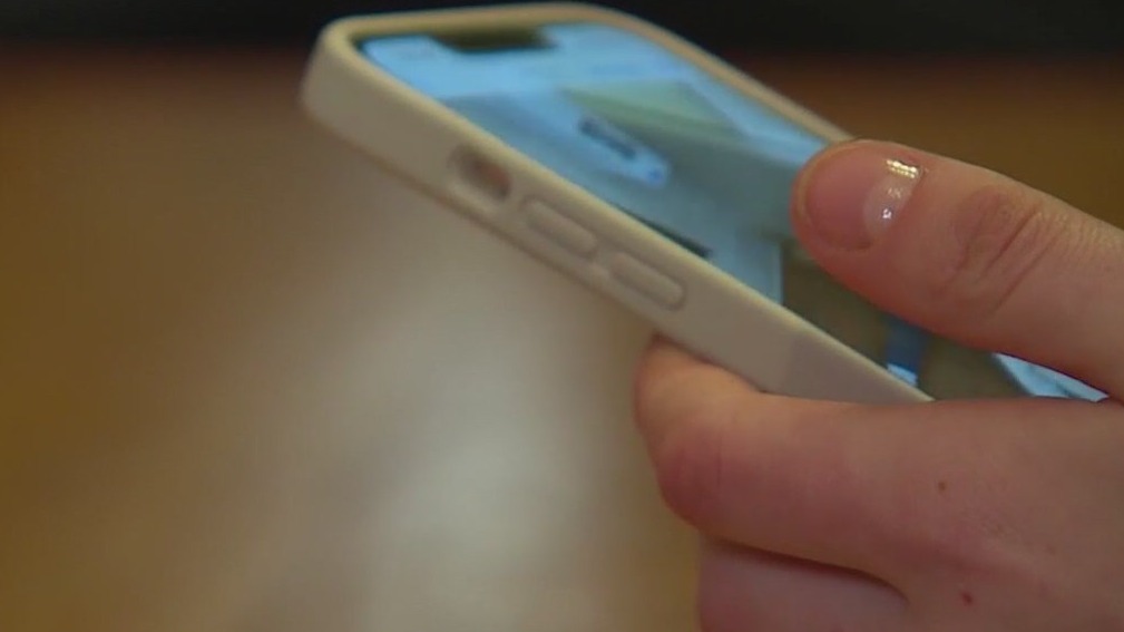 Social media and voter opinions: How to spot and combat misinformation