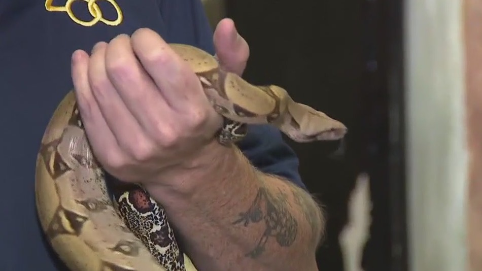 Not-so-spooky attractions