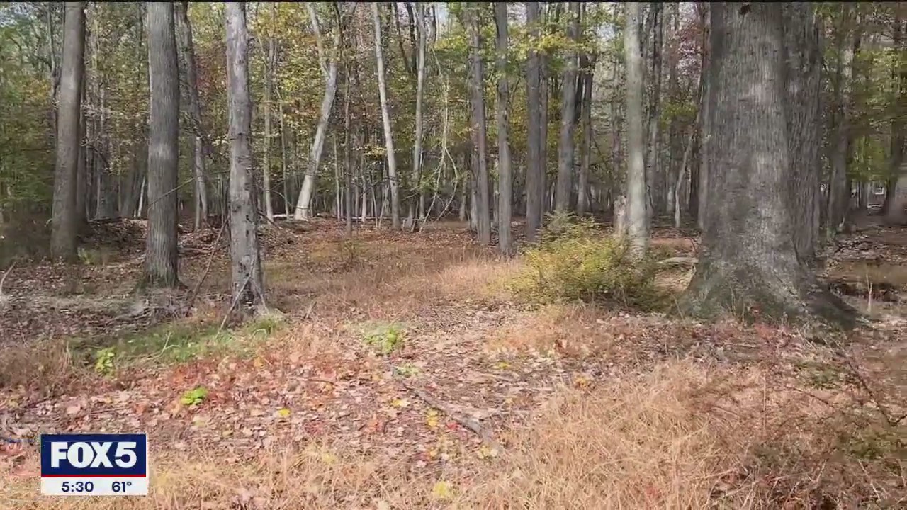 Woman, 30, bitten multiple times by coyote