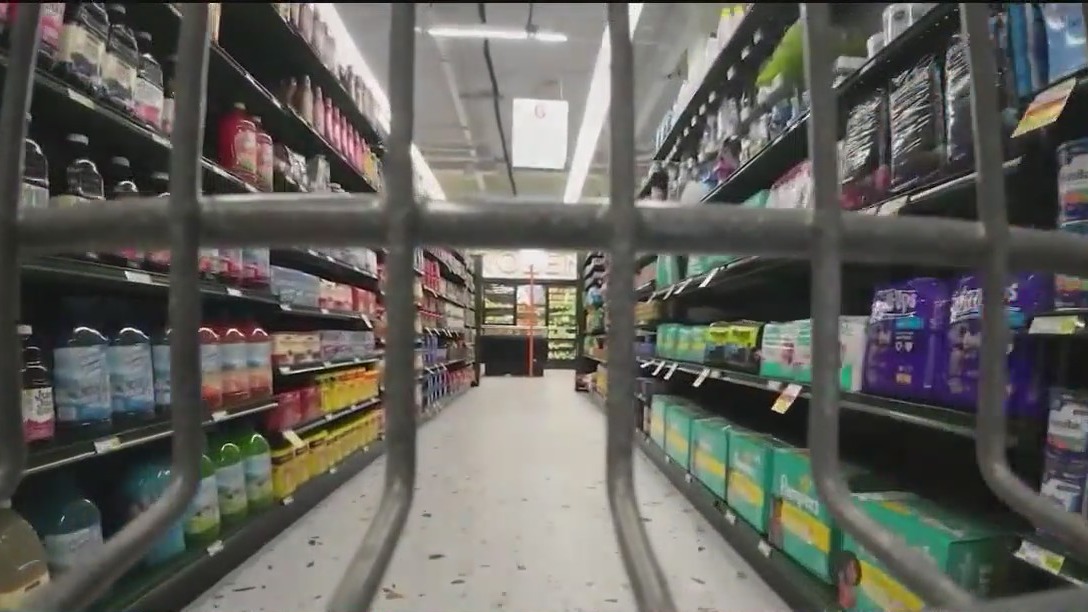 Georgia Democrats call on Kemp to fund SNAP