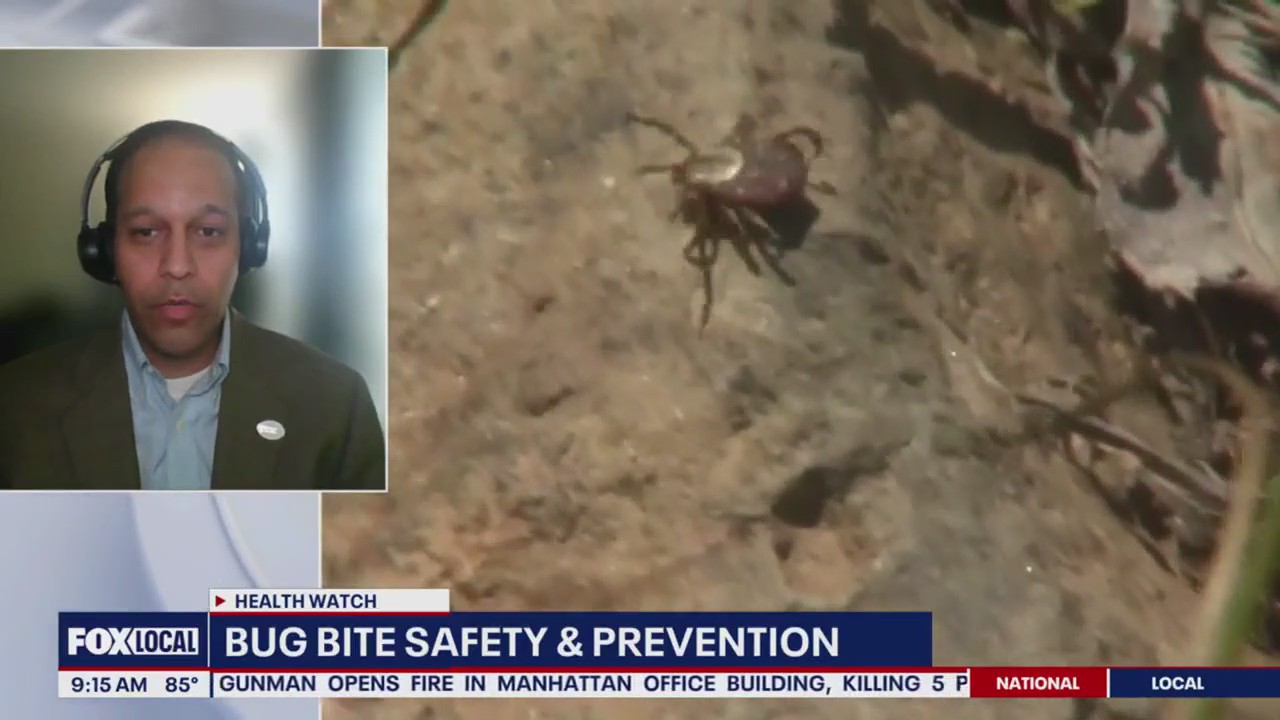 Bug bite safety and prevention