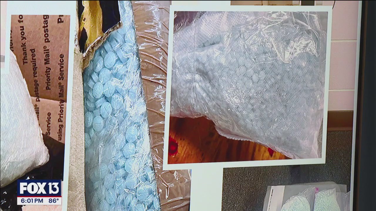 Massive fentanyl bust in Polk County