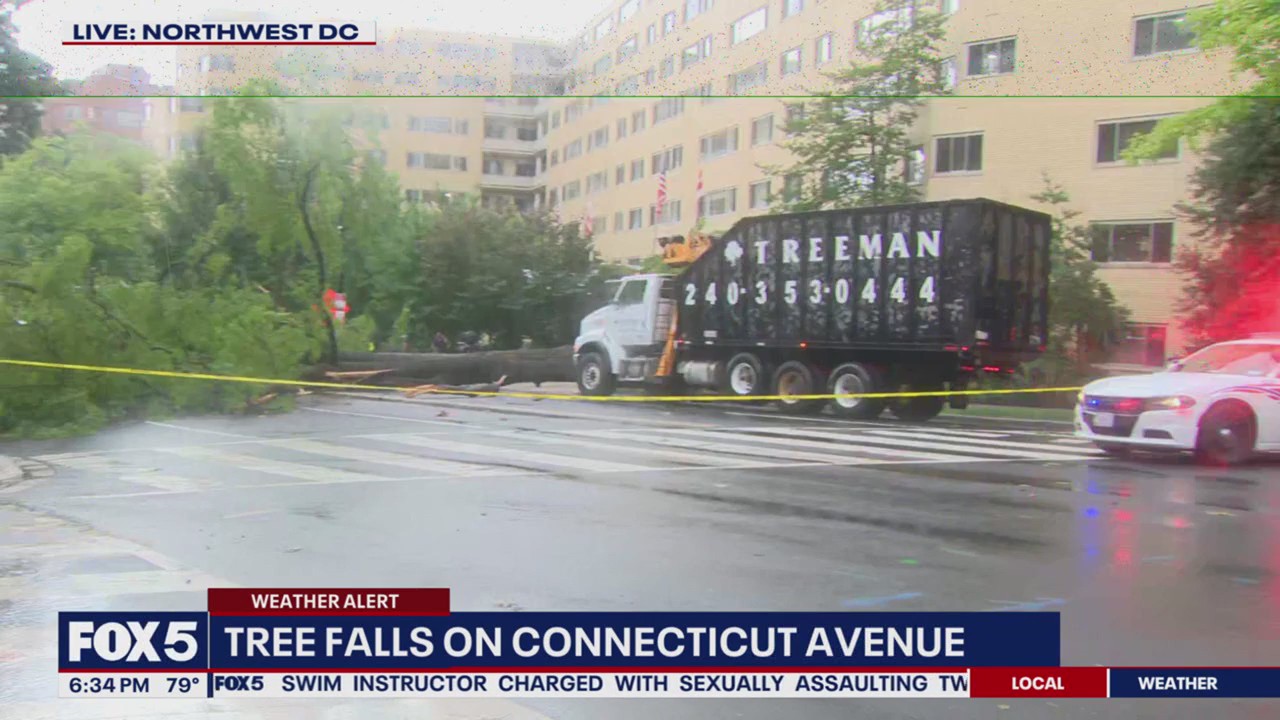 Huge tree falls on busy road in Northwest DC