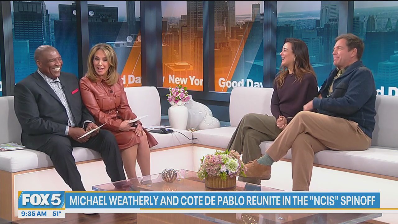 NCIS's favorite couple premiers spinoff series "Tony & Ziva"