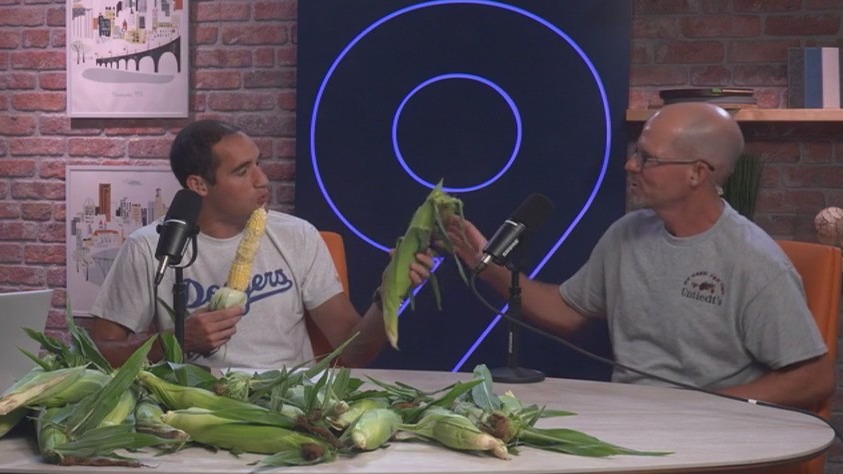 It's corn shucking season in Minnesota!