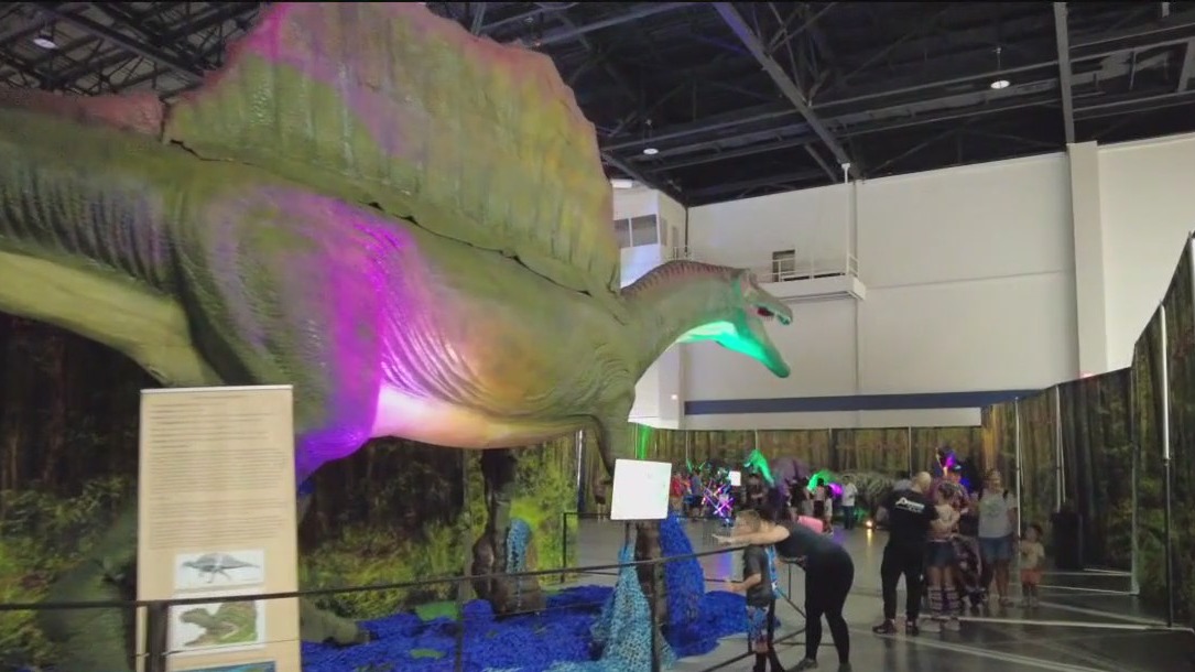Jurassic Quest to Tampa fairgrounds