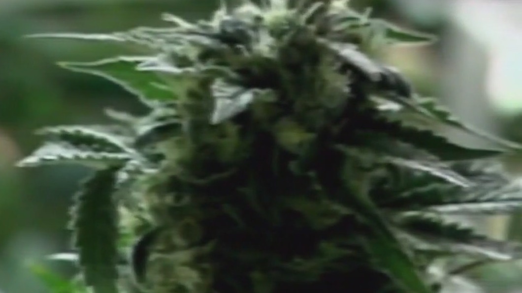Texas redistricting, new THC ban bill makes progress among lawmakers