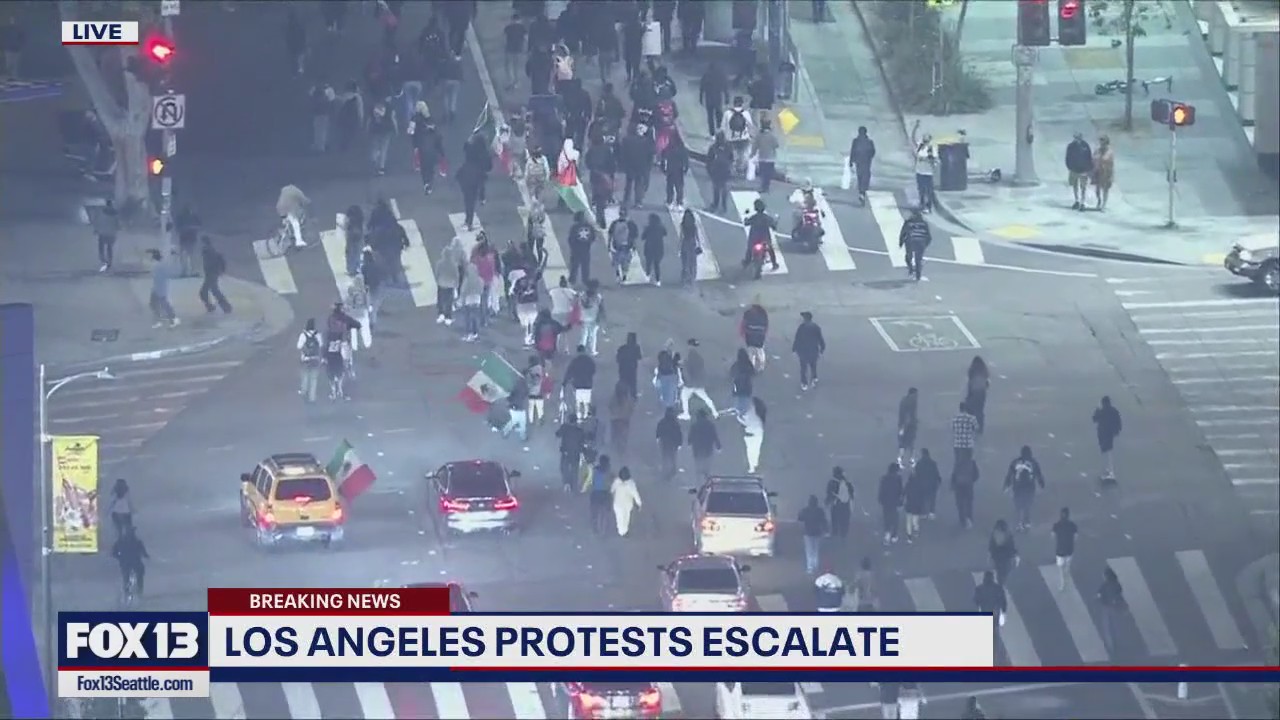 FOX 13 News at 10pm for Sunday, 6/8