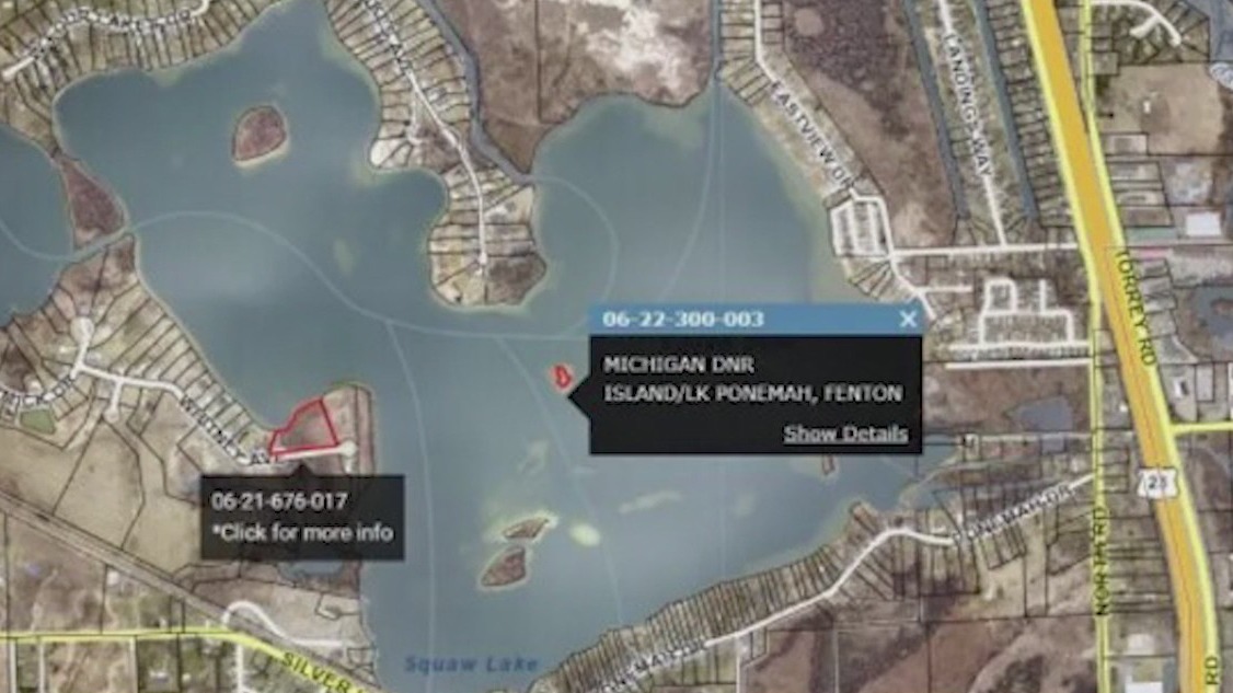 Michigan is auctioning off lakefront property, including an island | ChicagoNOW