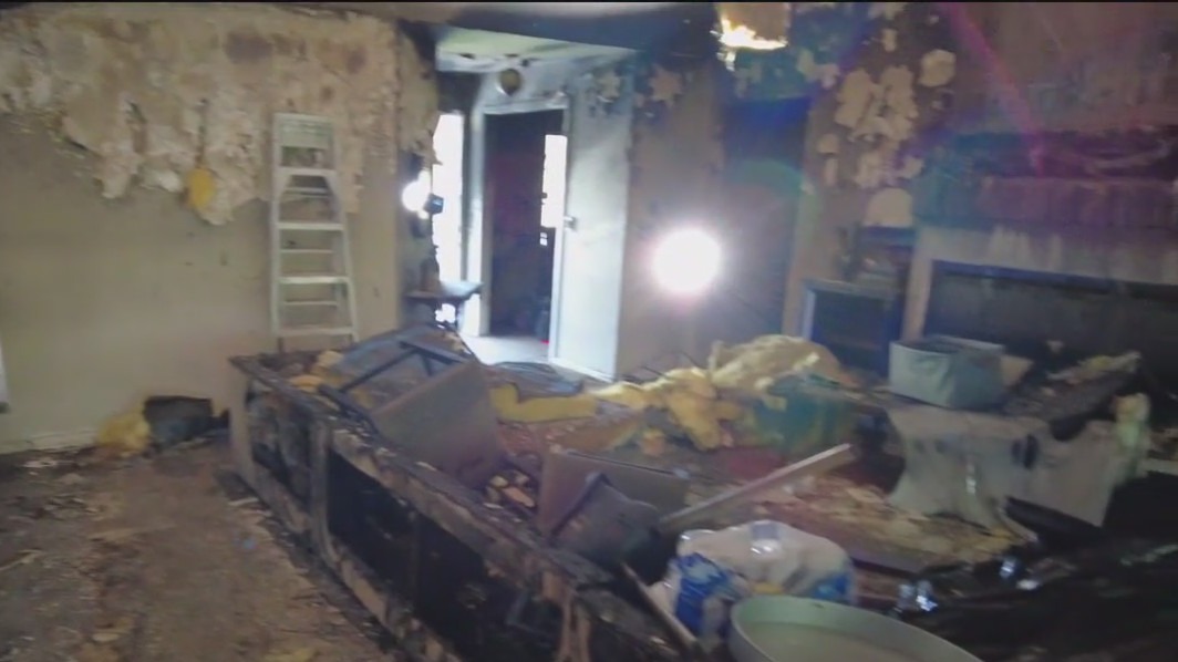 Lightning strike damages family home, kills dog
