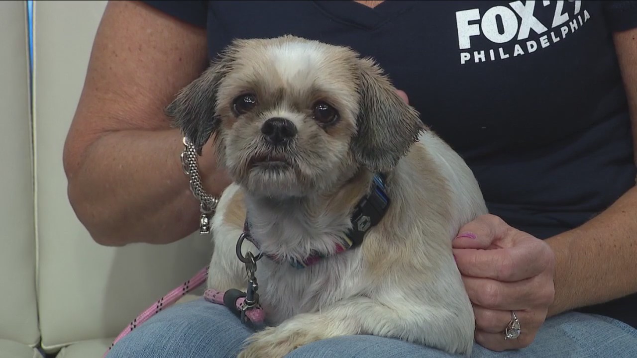 Rescue Me | Meet Layna