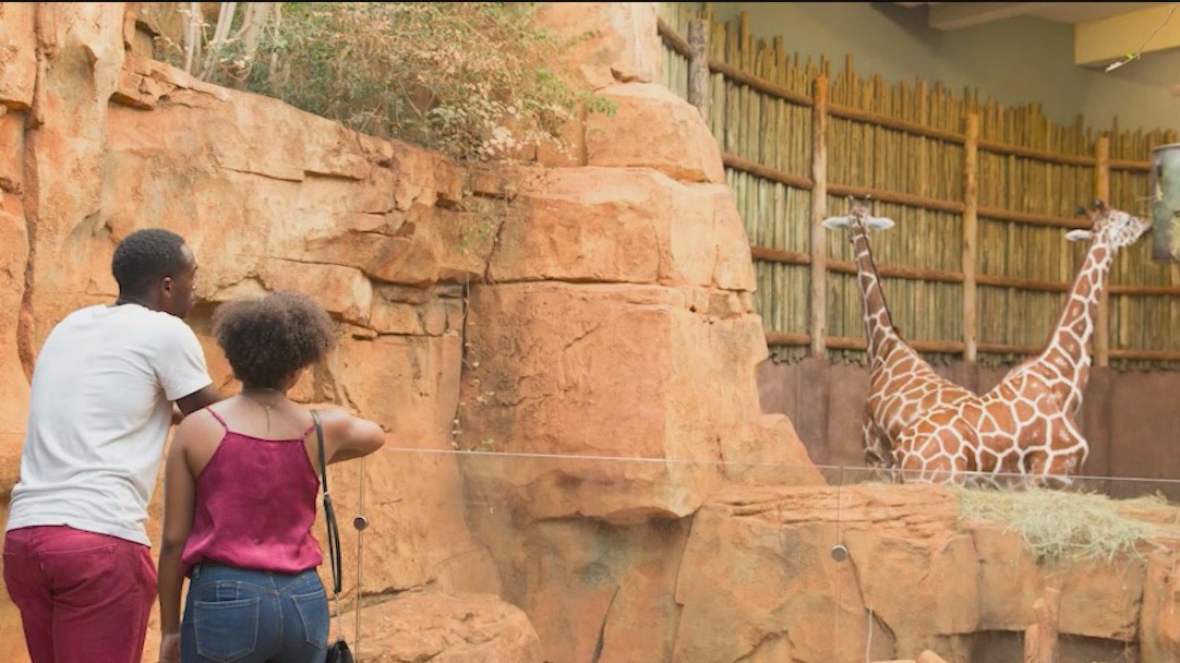 Riot Fest, UniverSoul Circus and more things to do this weekend in Chicago