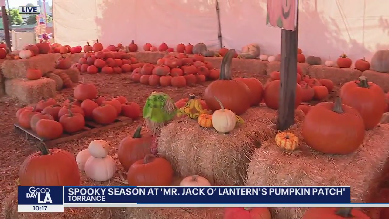 Celebrating 'spooky season' in Torrance