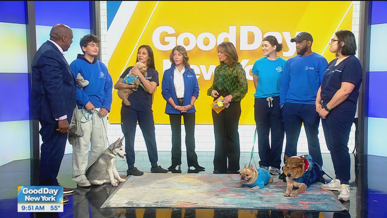 How to keep your furry friends safe this Halloween