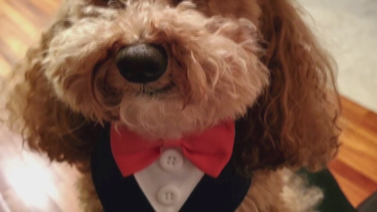 2024 Yappy Hour  -- Thursday, September 12