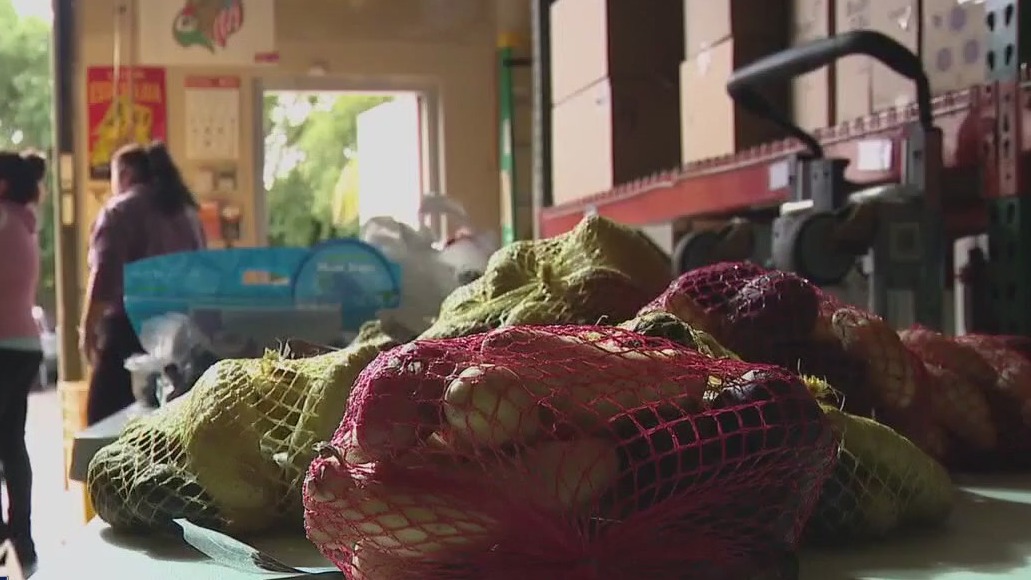 SNAP cuts put added stress on farmworkers and Spanish-speakers, with ...