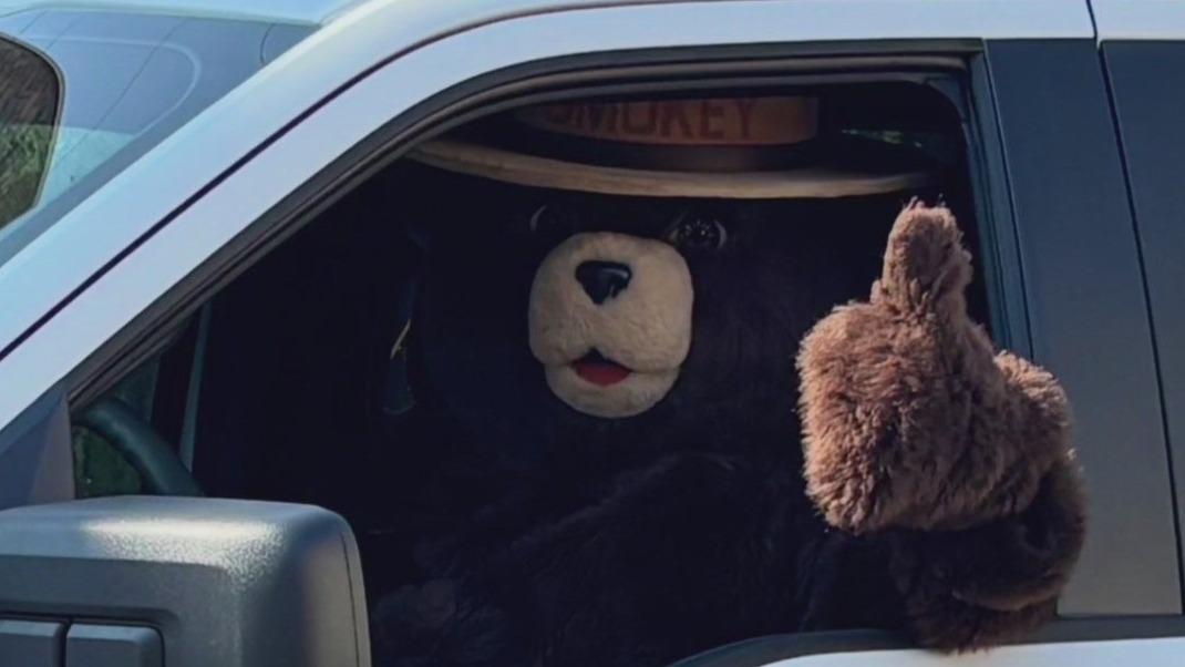 Smokey Bear sign theft arrest