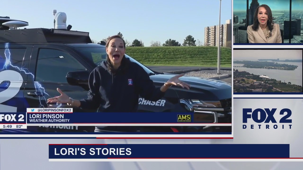 Kidney Concerns Lori's Stories part 1