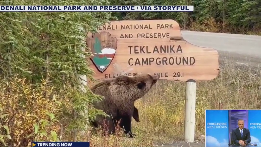 Helene from space, bear rushes man in garage