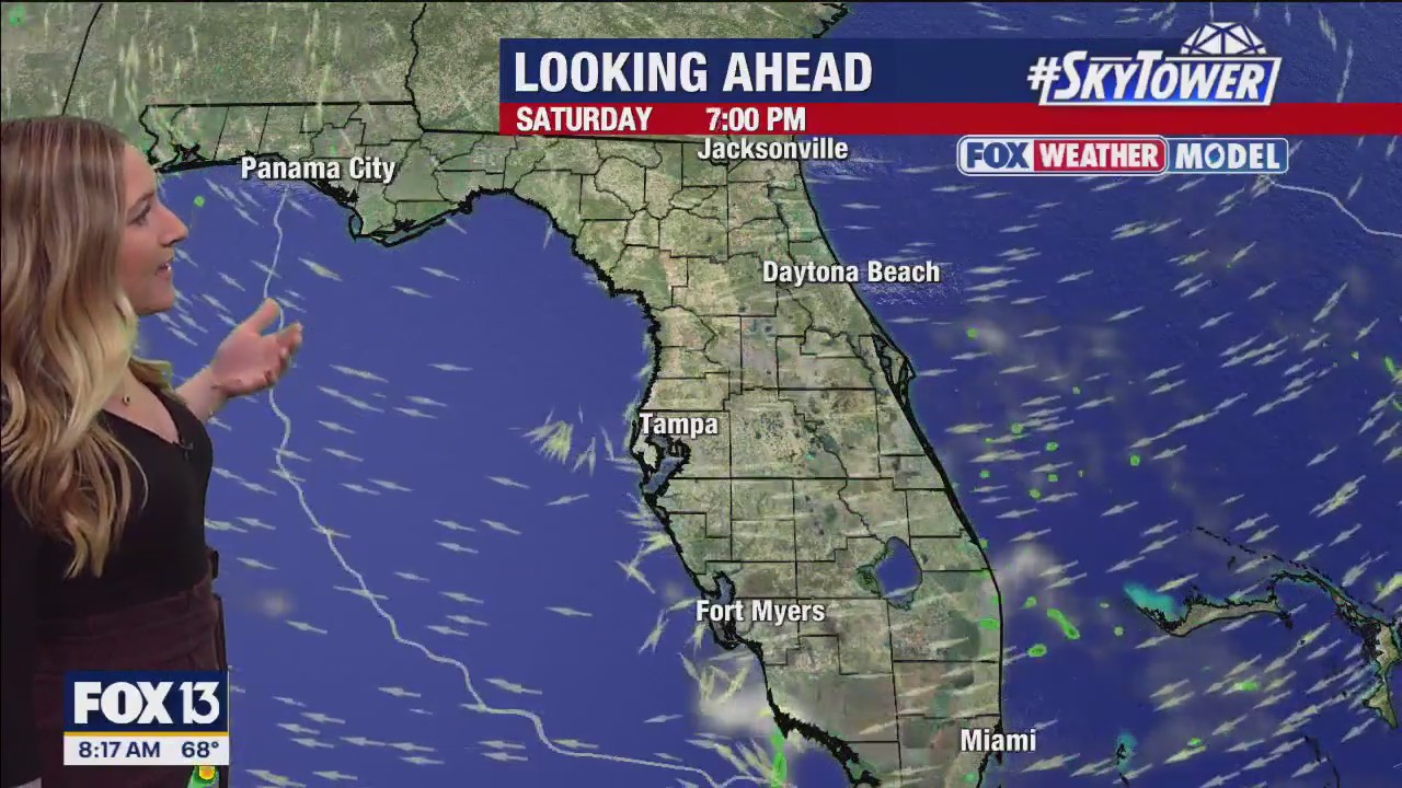 Tampa weather | Breezy and mostly rain-free