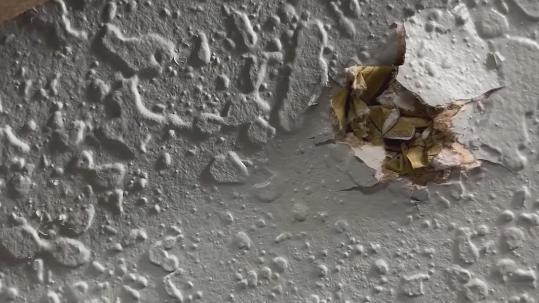 Neighbor arrested after gunfire erupts in Fruitland Park