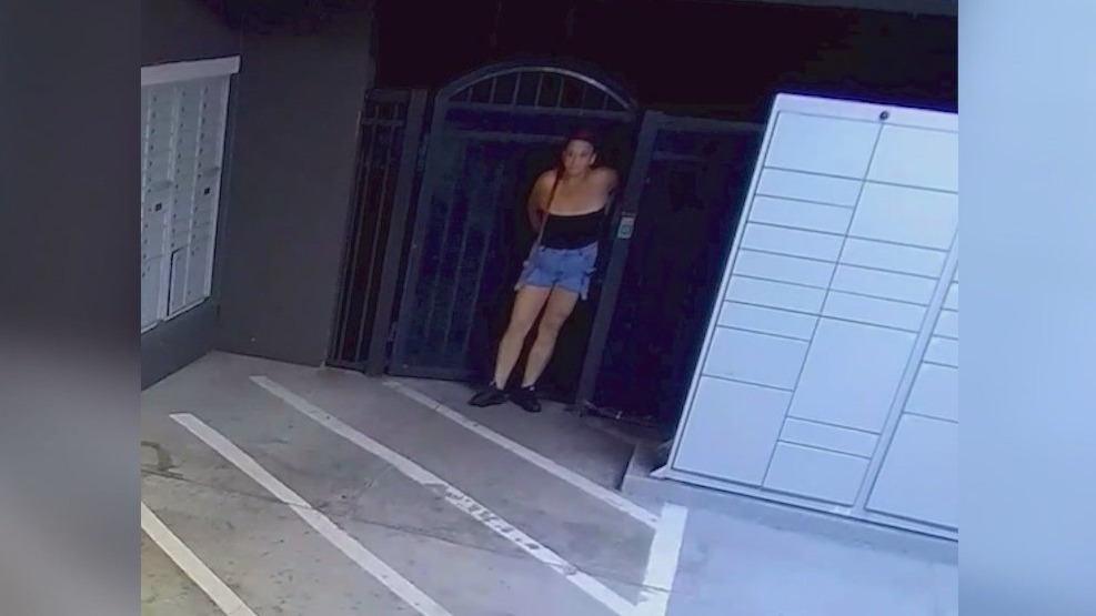 Woman wanted for stealing dozens of packages