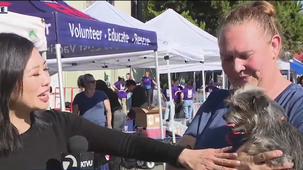 Animals from shelters across California looking for forever homes