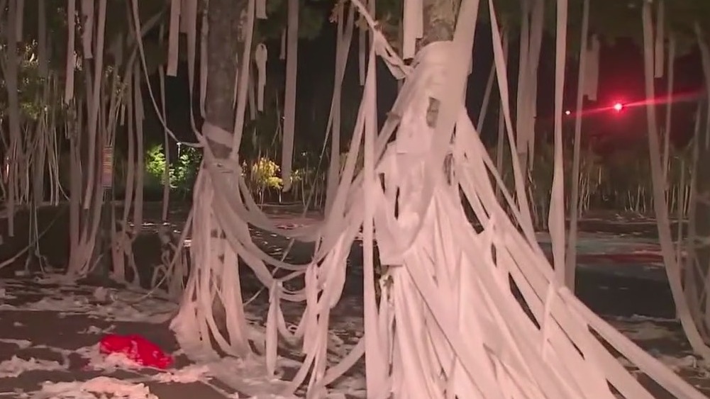 Toilet paper tradition continues in Marietta