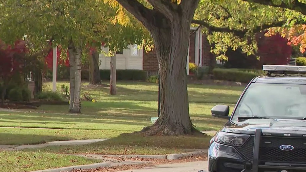 83-year-old man killed in deadly Royal Oak stabbing