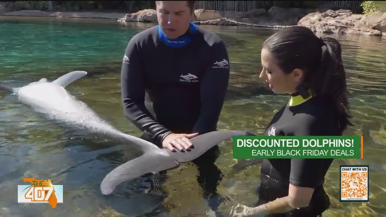 Early Black Friday deals at Discovery Cove