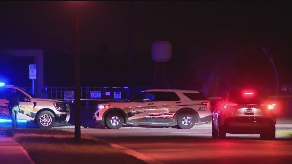 Teen pistol-whipped at DeBary park: deputies