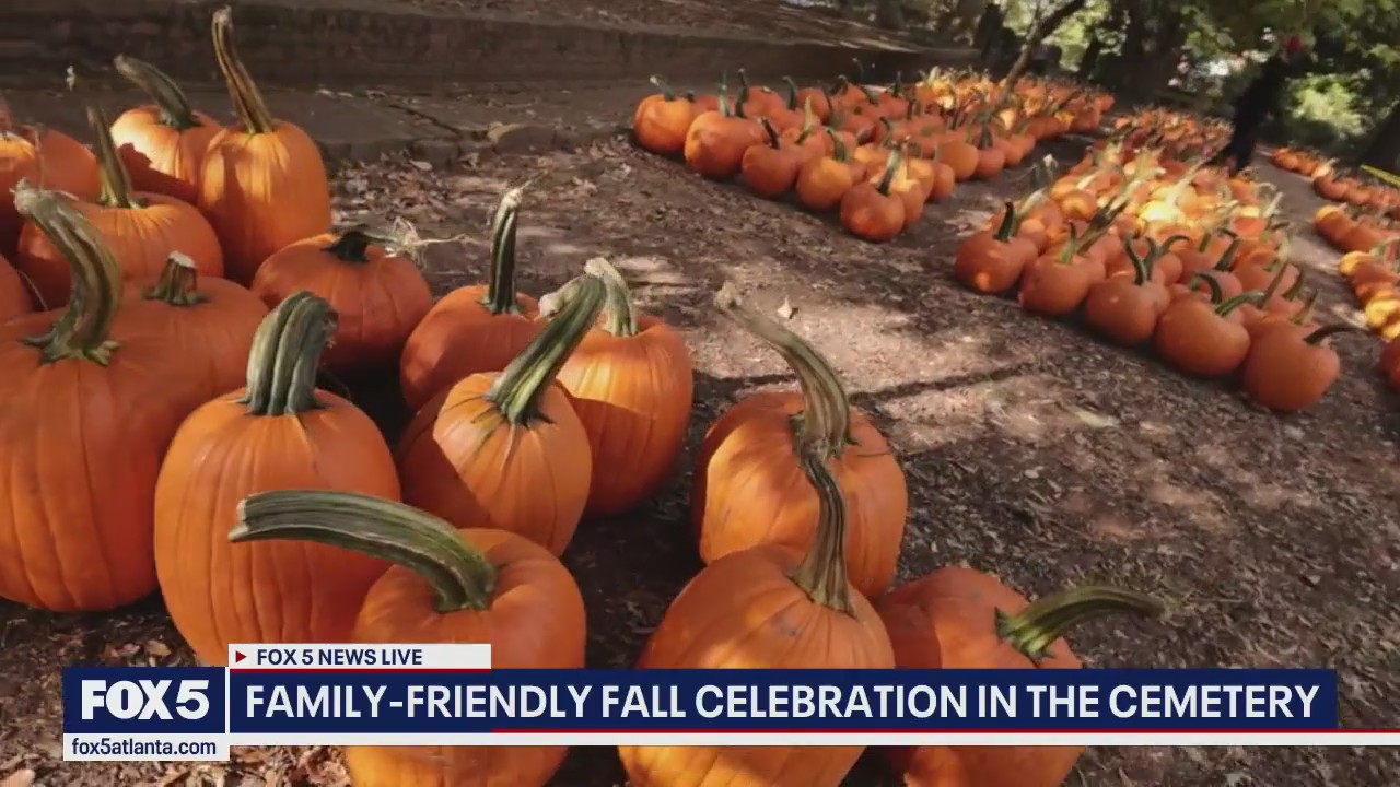 Pumpkin picking in Historic Oakland Cemetery