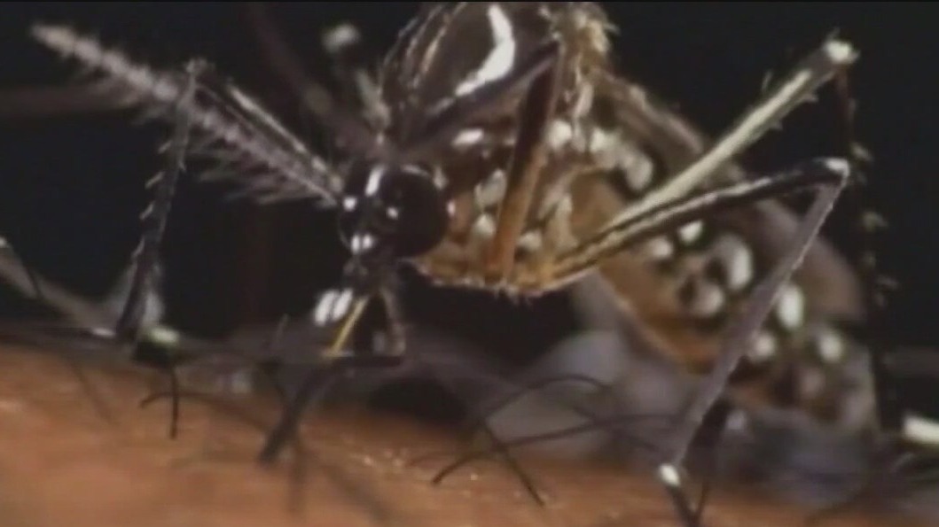 Mosquito season could pose serious health concerns
