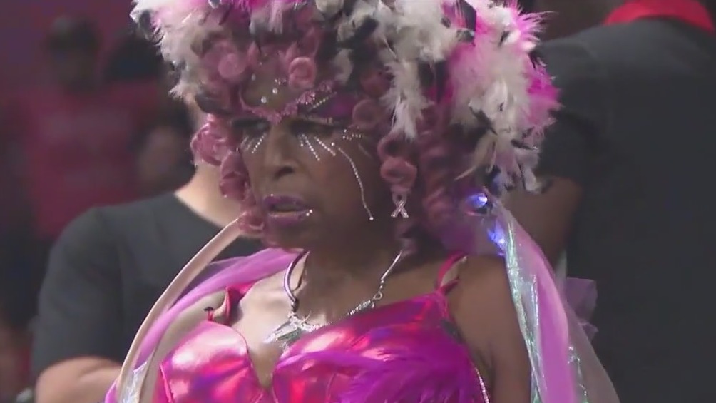 Falcons' BirdLady arrested