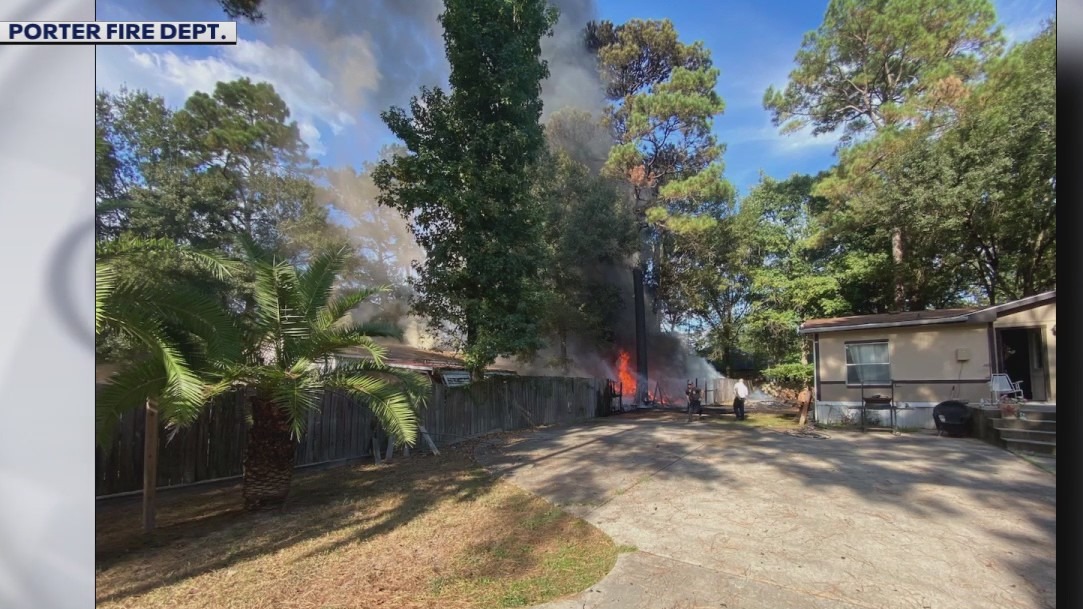 Brushfire danger, swamp flowers, and climate change on fall foliage | Forecasting With Friends