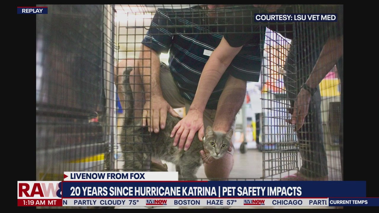 20 Years Later: Pet rescue after Katrina