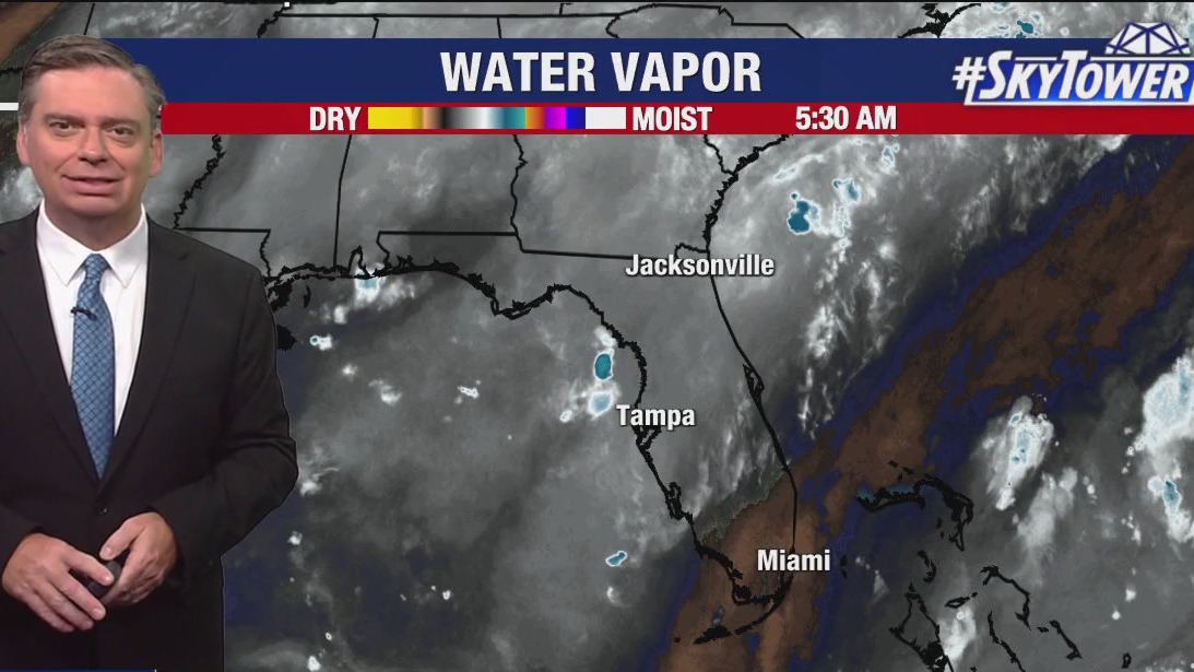 Tampa weather | late-day rain anticipated