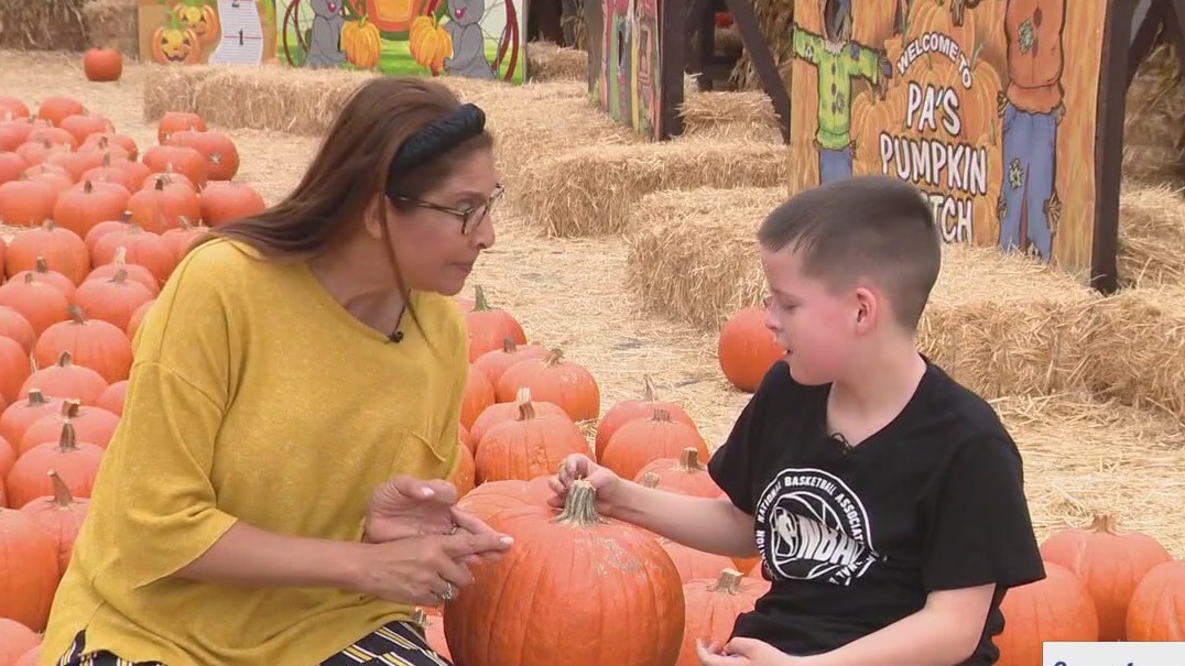 Wednesday's Child at Pa's Pumpkin Patch