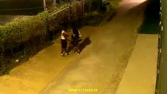 VIDEO: Aggravated robbery on Navigation Blvd.