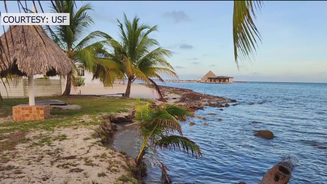 Protecting our shoreline from erosion
