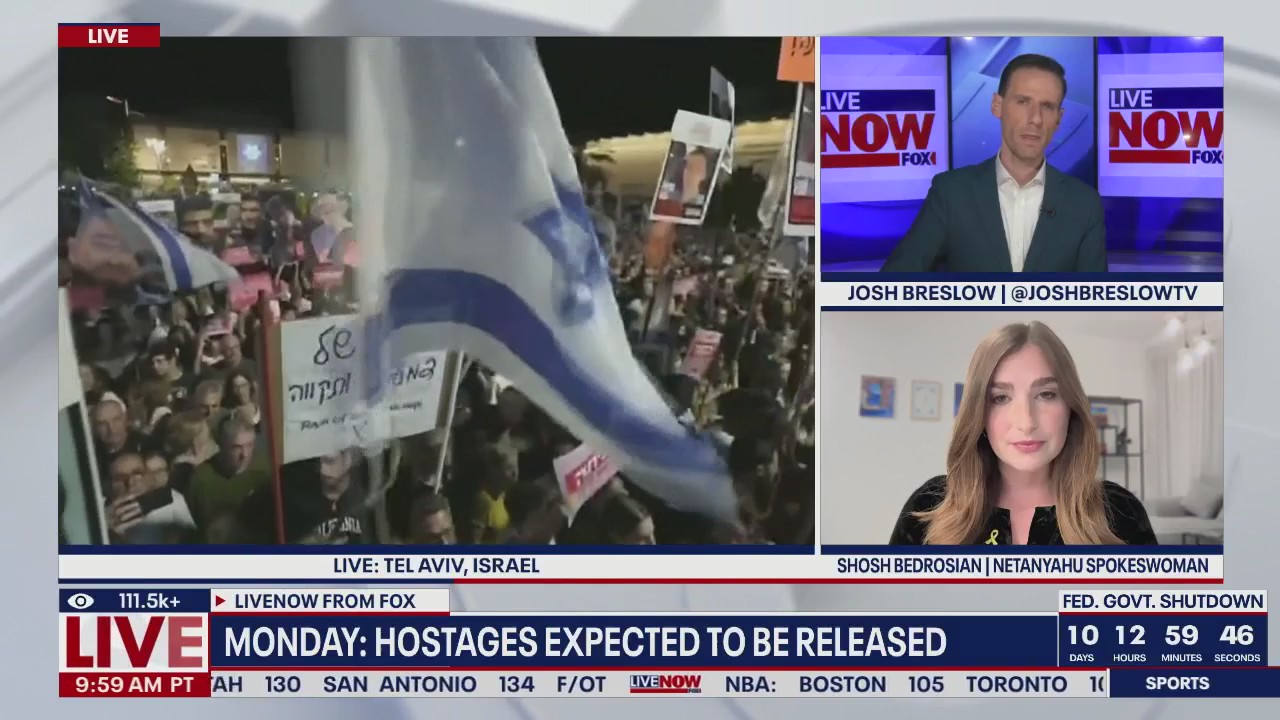 Netanyahu's spokeswoman on Gaza ceasefire