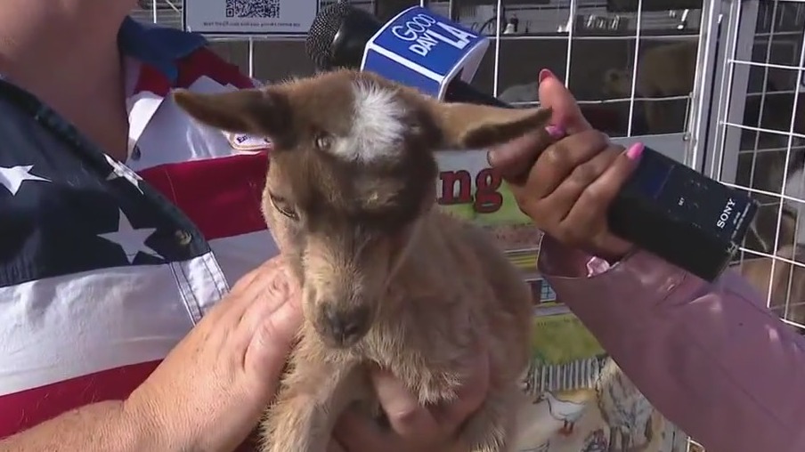 Inside the 2025 Ventura County Fair