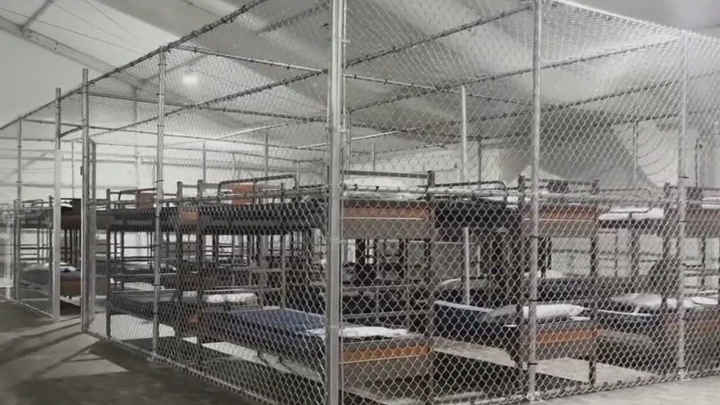 Judge halts construction at Alligator Alcatraz