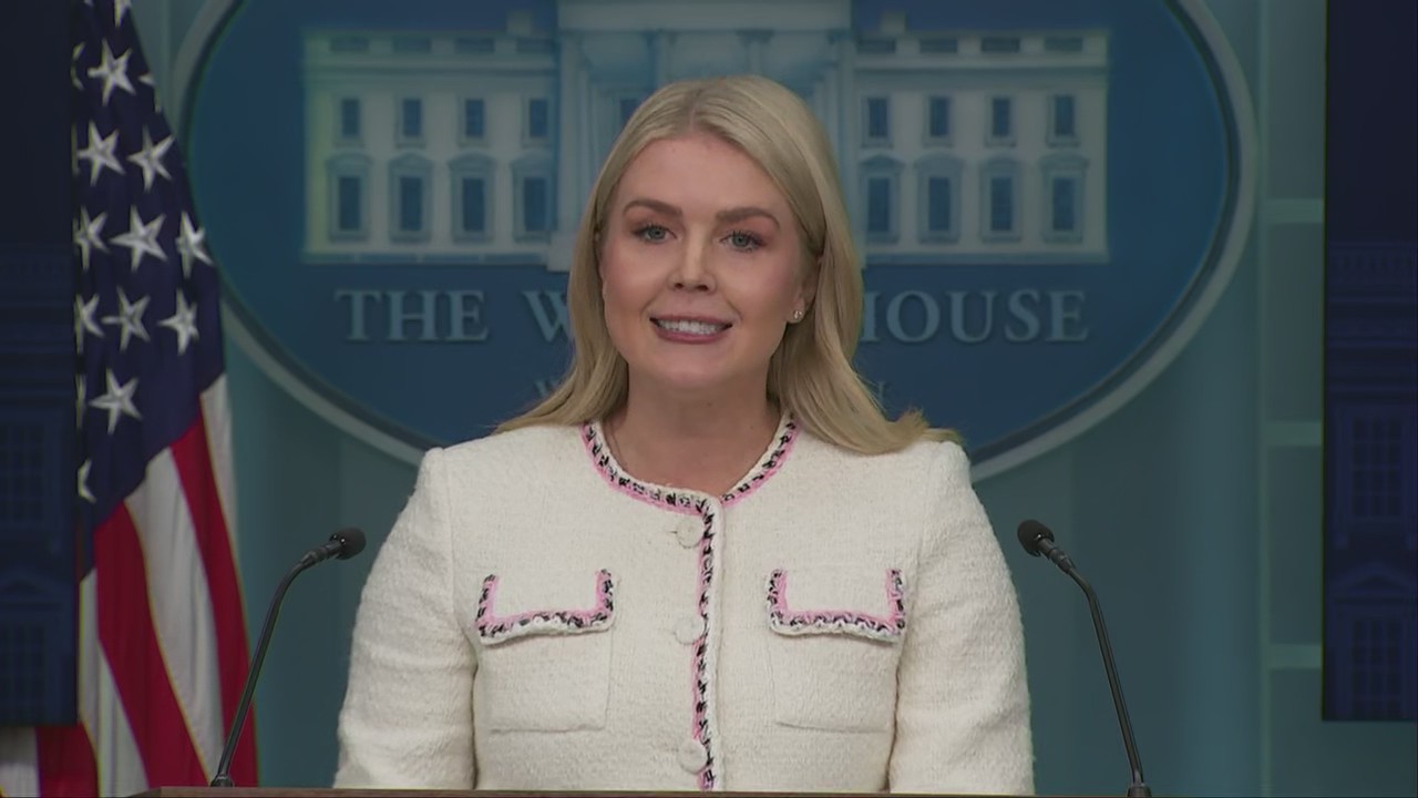 ‘Democrat shutdown’ blamed for airline, SNAP delays