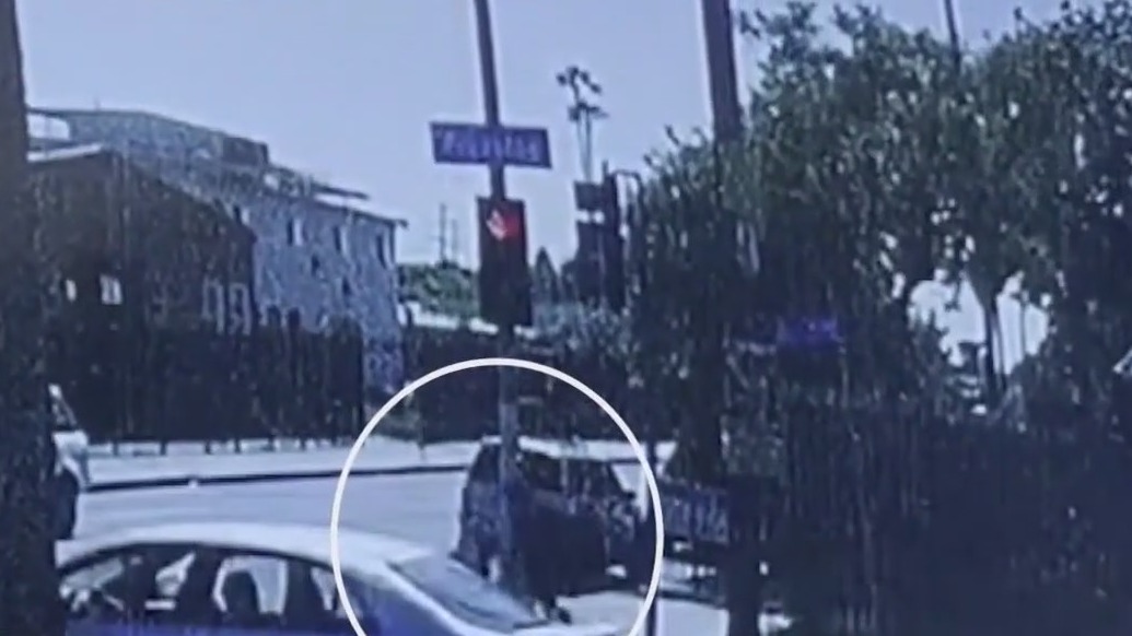 Teen girl fights off would-be kidnapper