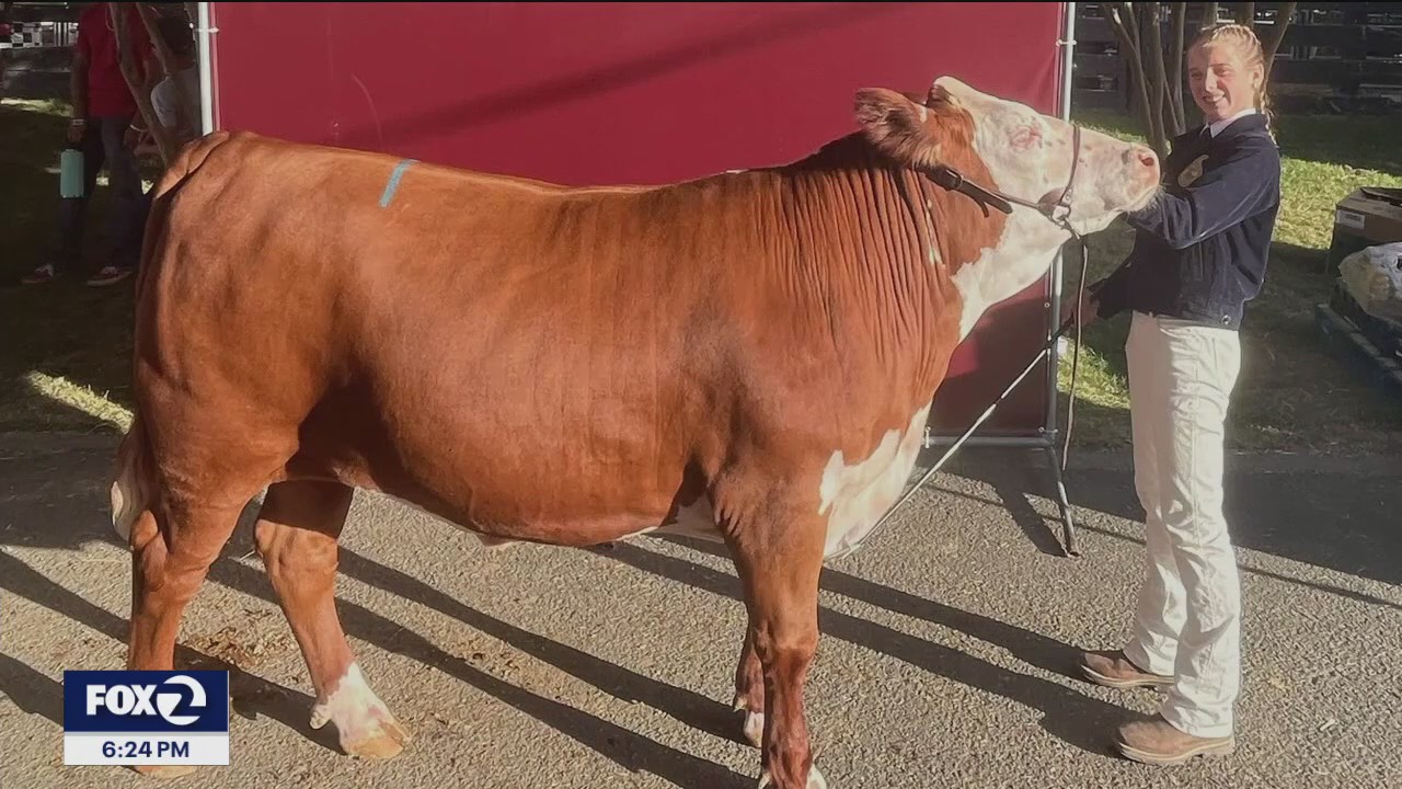 Sonoma teen raised $10k for research after doctors at Stanford save her moms life