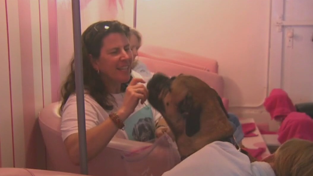 Keeping your pets safe on Valentine's Day